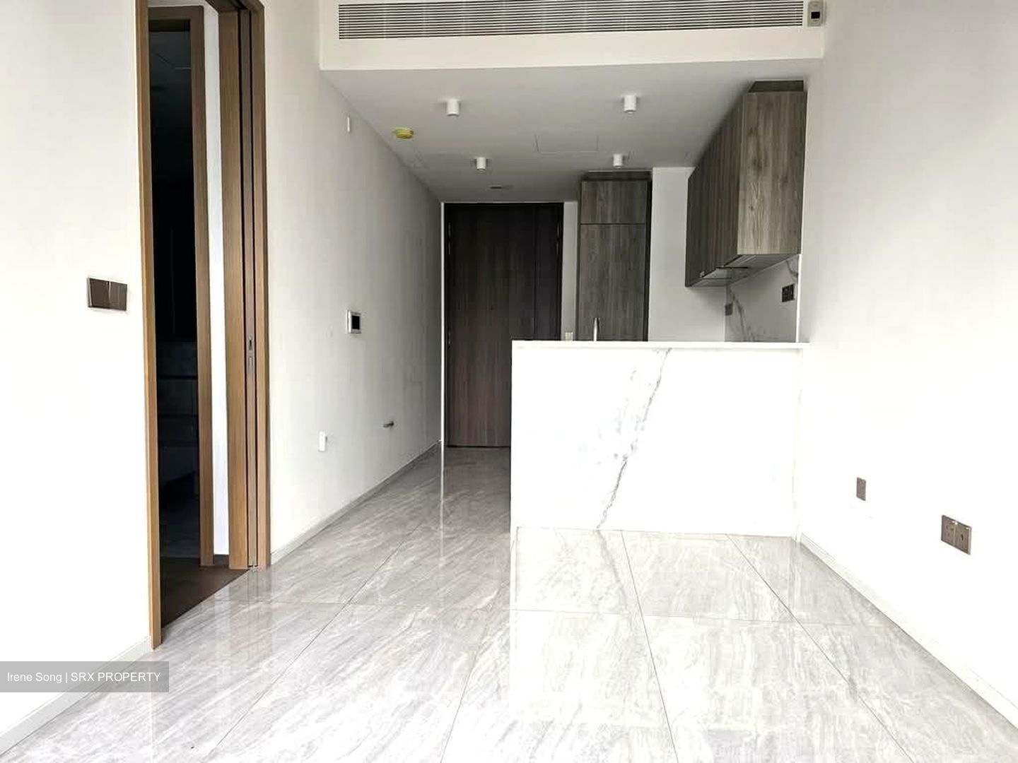 Leedon Green (D10), Condominium #593637611